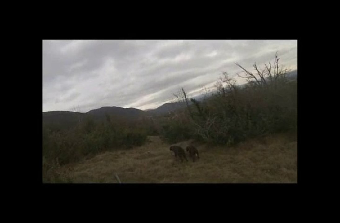 BAHIA ET EMERAUDE SUR LAPIN