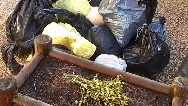 Pas de puce pour Dunières (Haute-Loire)