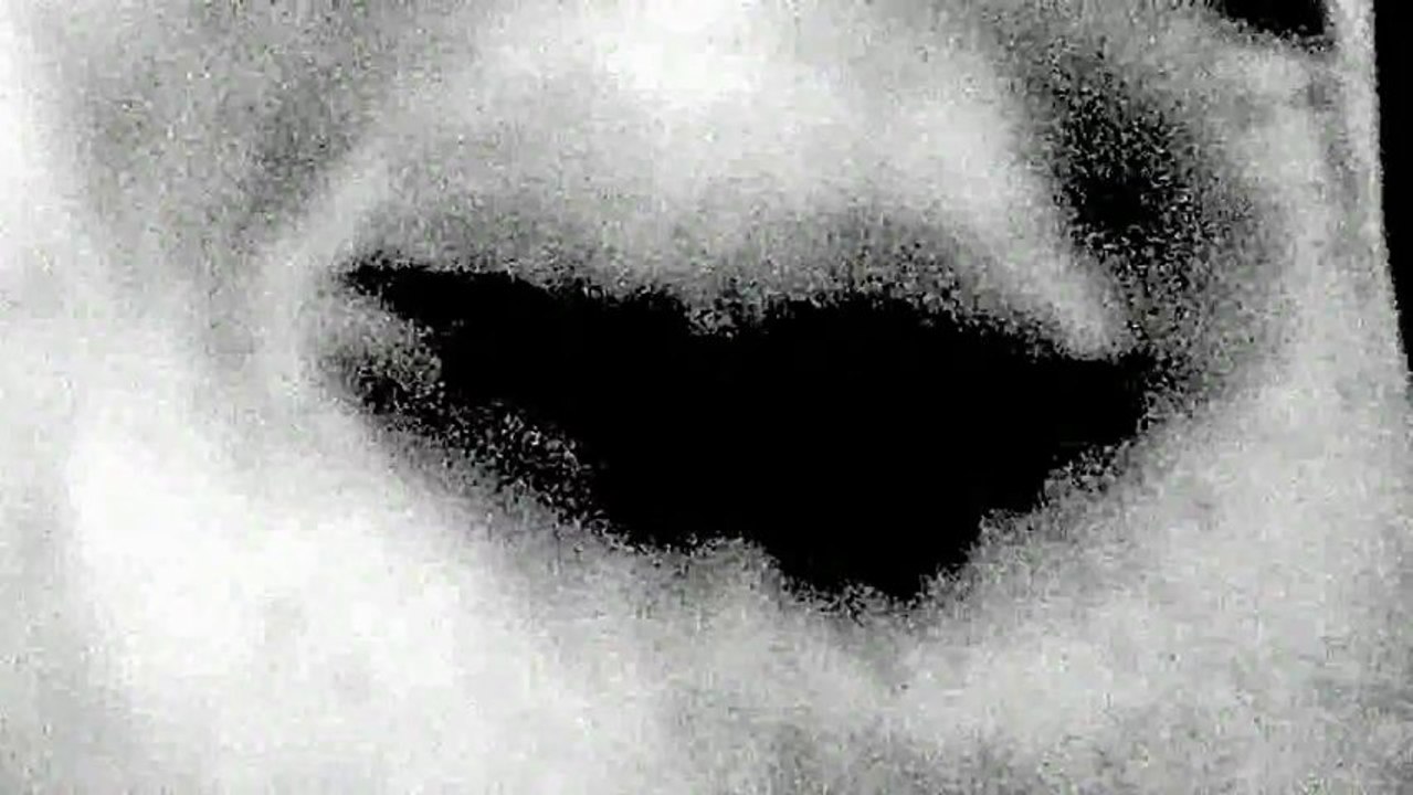 The Meaning of Life - A Short Film