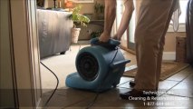 Carpet Cleaning Vernon Hills IL | Techniclean Professional Carpet Cleaning