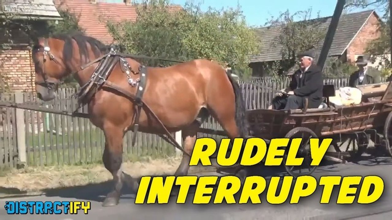 Pardon the Interruption