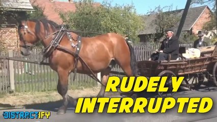 Pardon the Interruption