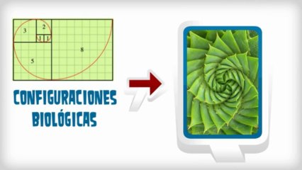 Educación Matemática 'La Matemática en la Naturaleza'
