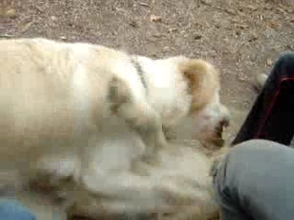 MOV09859