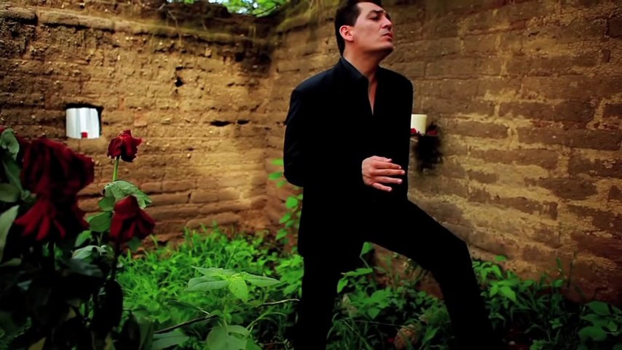 José Manuel Figueroa - Rosas y Espinas