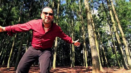 Joseph Fonseca - El Caballito De Palo