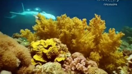 Лучшие морские суда OnlyKinox.ru