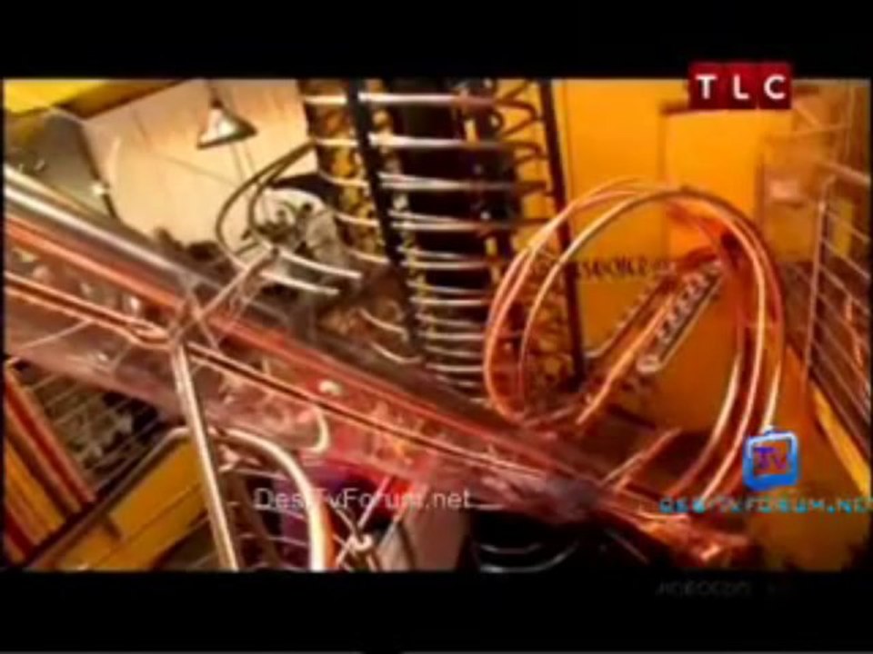 Worlds Weirdest Restaurants - Going To The Dogs 4th January pt2