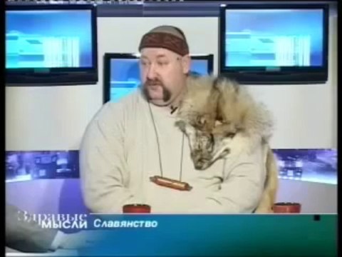 Богумил II -7520-2012- Славянство