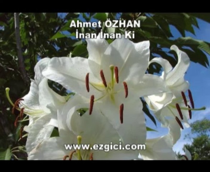 Ahmet ÖZHAN - İnan İnan Ki