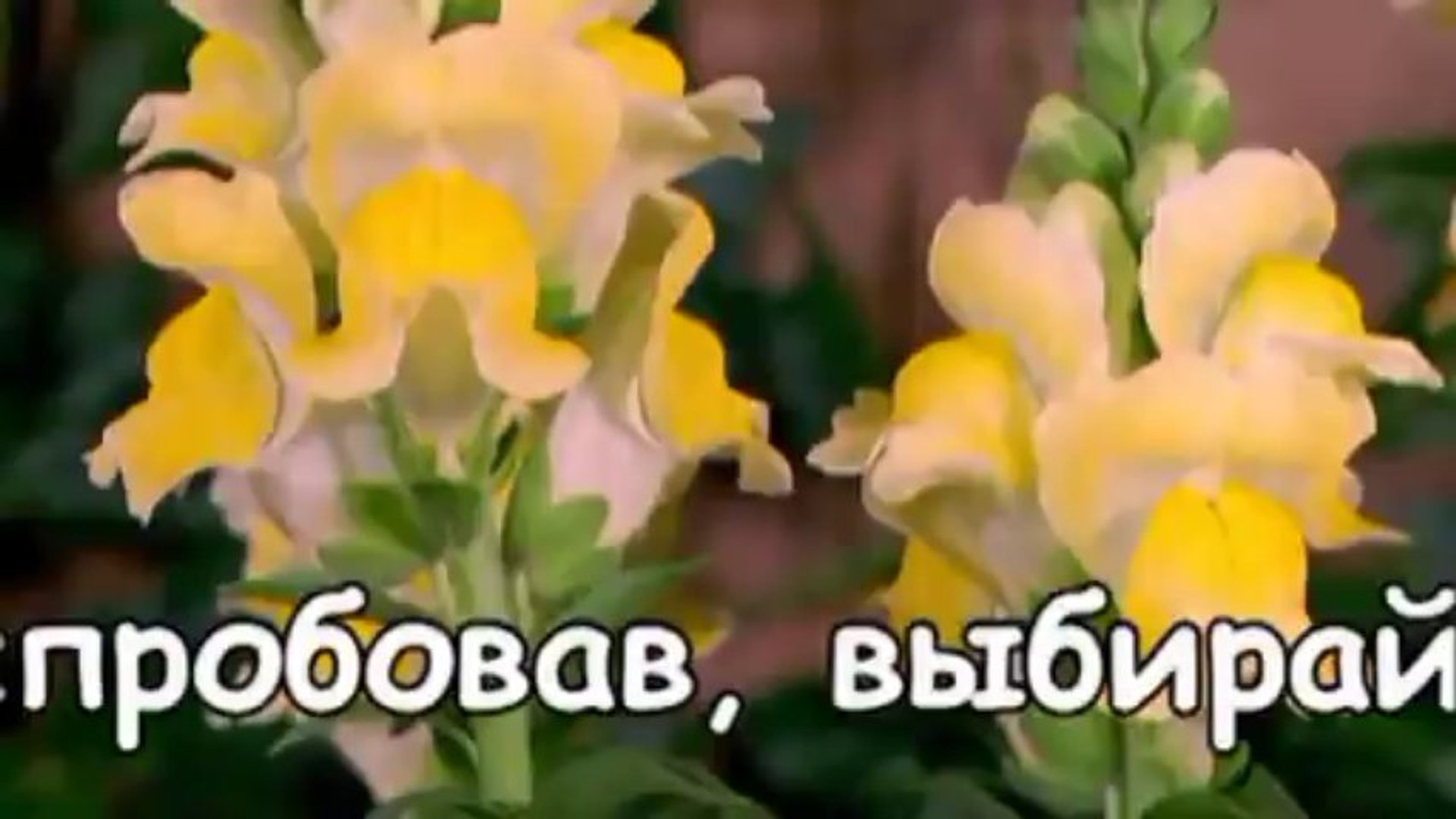 ⁣Я сама или я одна