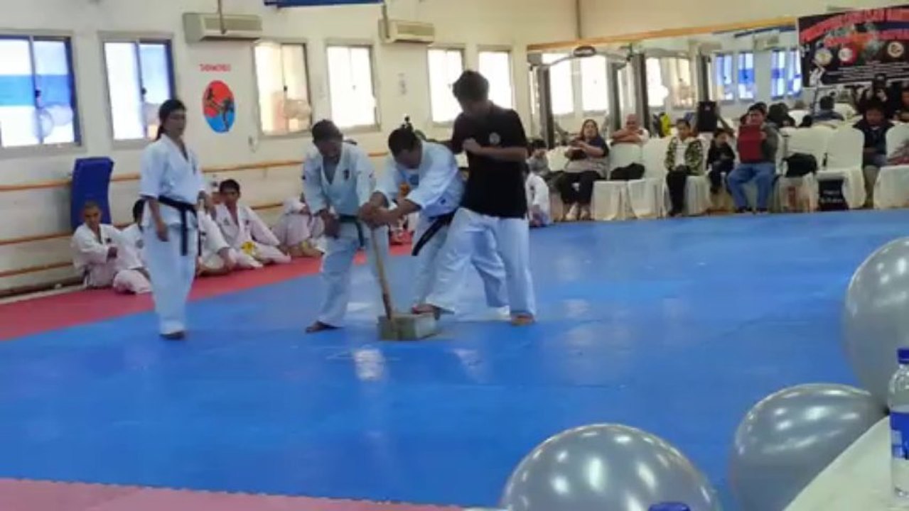 25th Silver Anniversary Baseball bat Breaking Sensei Mae