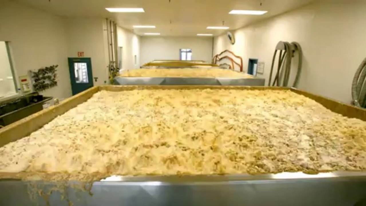 Fans de bière : time-lapse de la fermentation de la Bigfoot Beer!