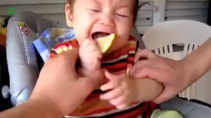 Babies Eating Lemons for First Time