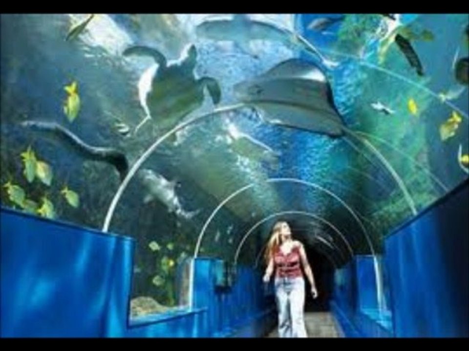 9953987615 NEC * Food Court Appu Ghar Gurgaon Sector 29