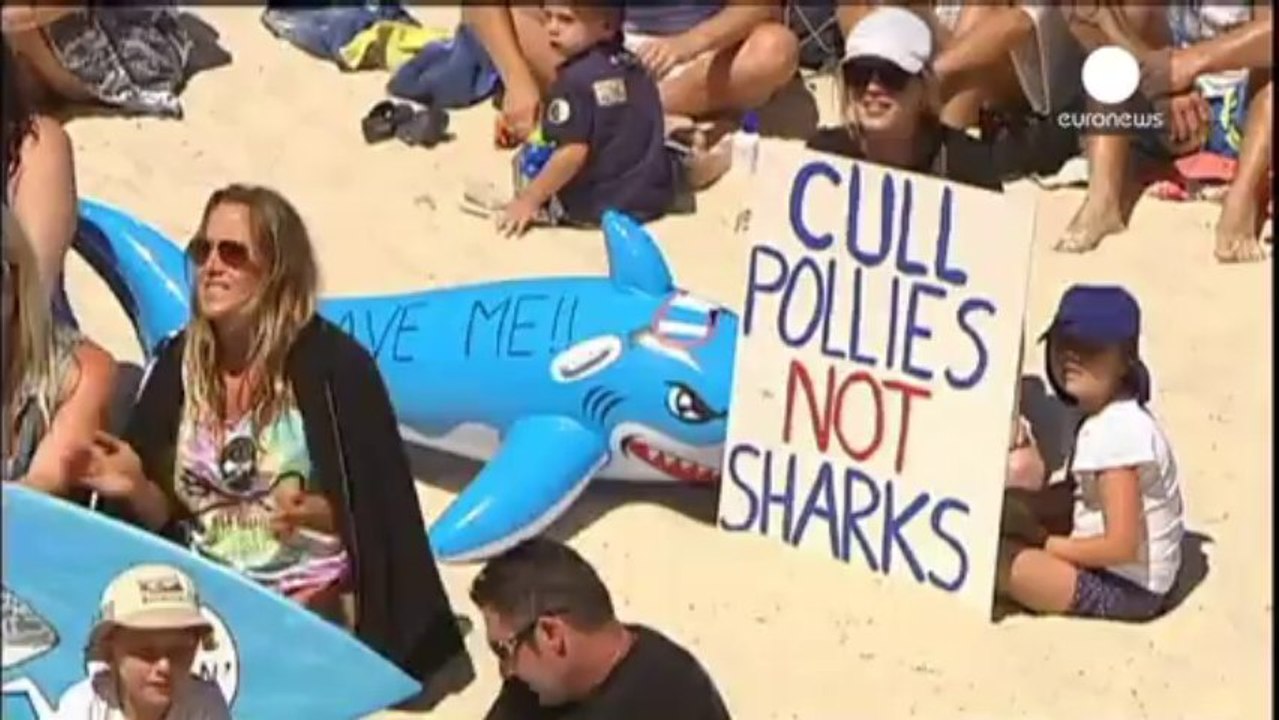 "Salvad a los tiburones", piden miles de personas en Australia