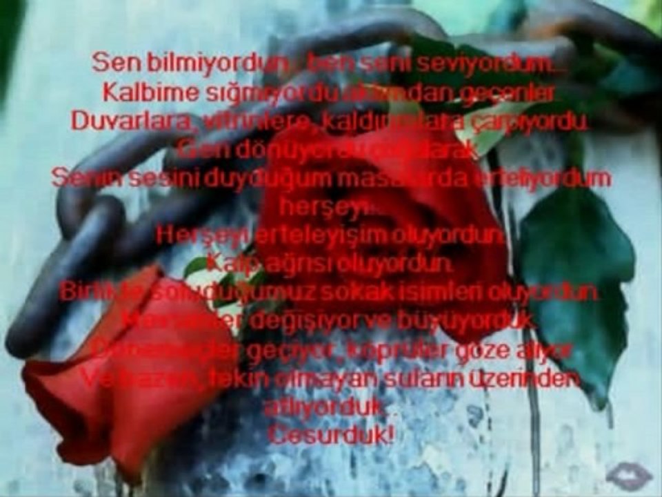 Iclal Aydin - Seni Seviyorum