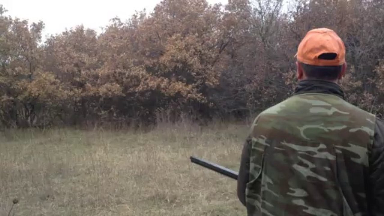 Hera Di crocedomini Çulluk Ferma