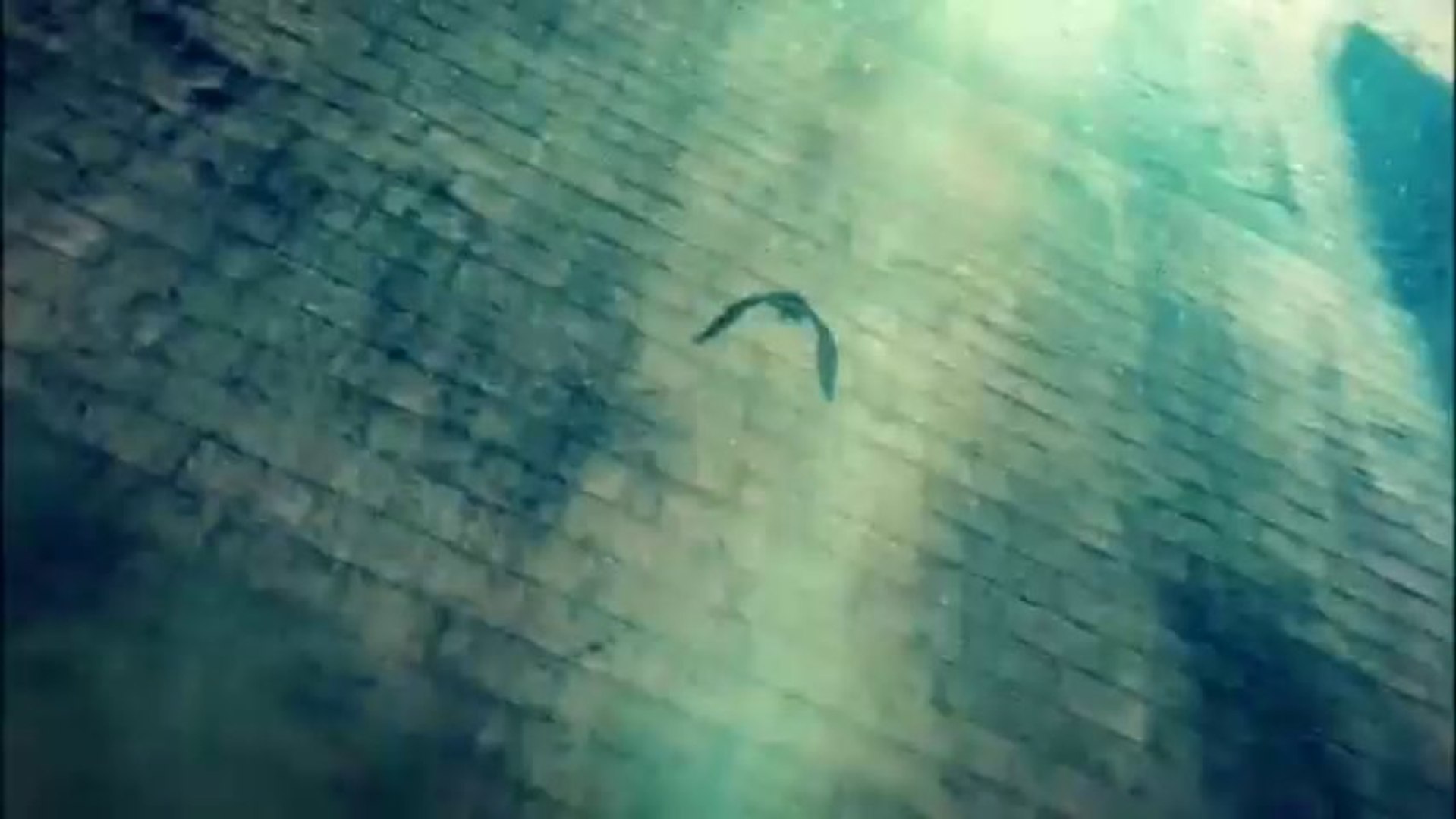 Full Pv Linked Horizon 紅蓮の弓矢 動画 Dailymotion
