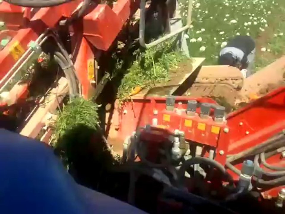 t6080 havuç