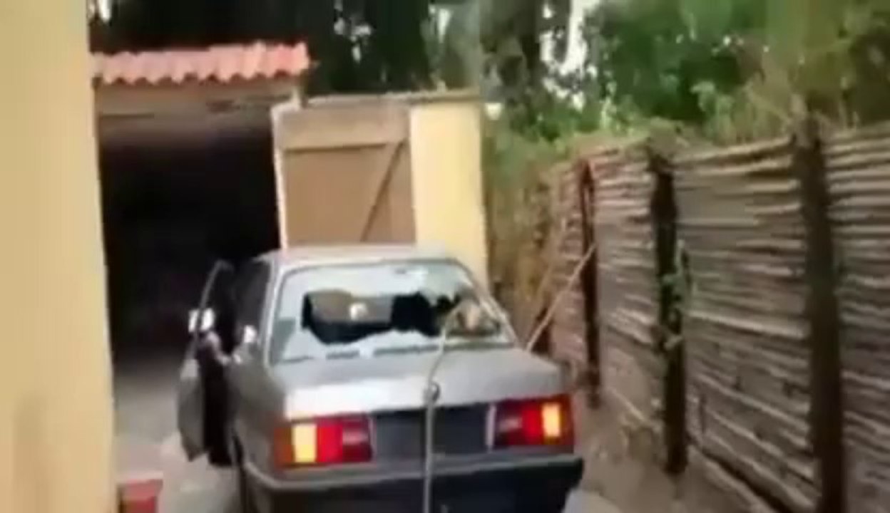 ◄► Il arache une souche d'arbre à l'aide de sa voiture (WIN?)