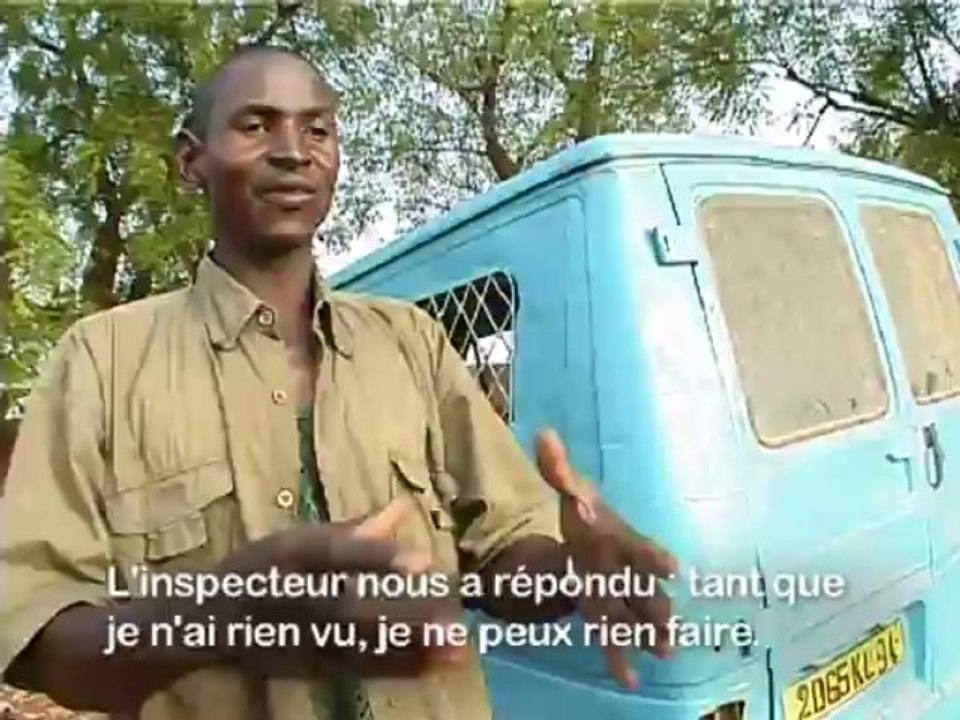 le prix de l'or / la folie des hommes 2013