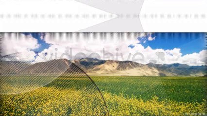 Portfolio Complex System - After Effects Template