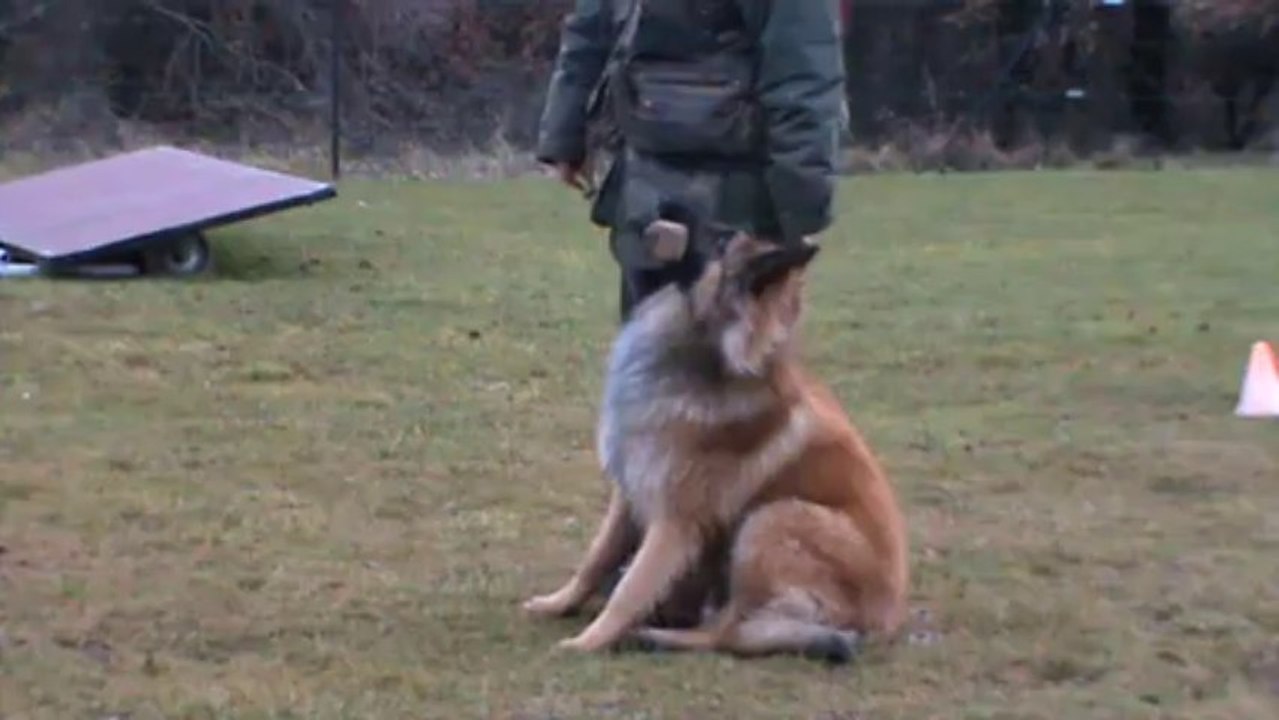 Iros au rapport d'objet  directionnel