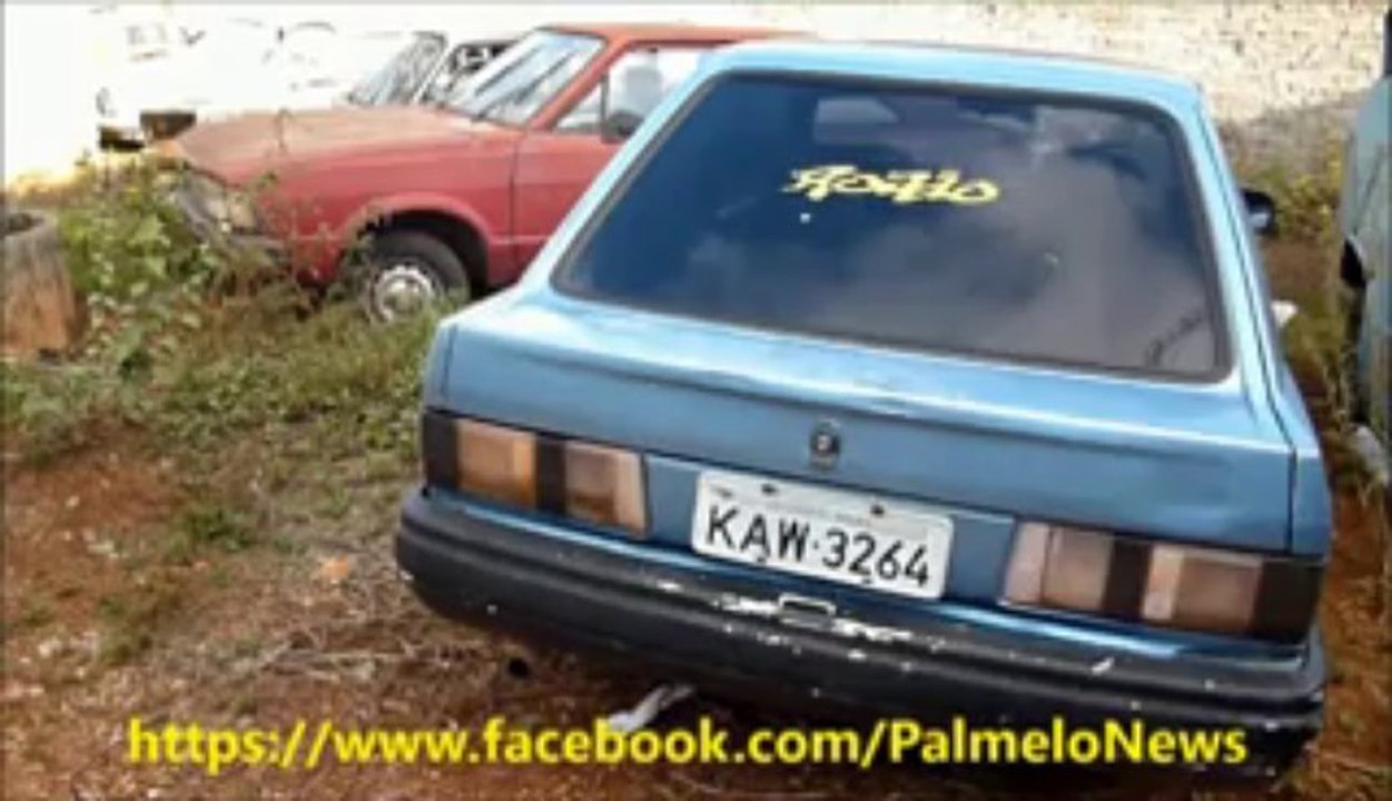 Dengue o perigo de Palmelo