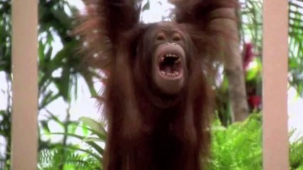 The Four Seasons Hotel in Movies & TV: Version #2 (updated!)