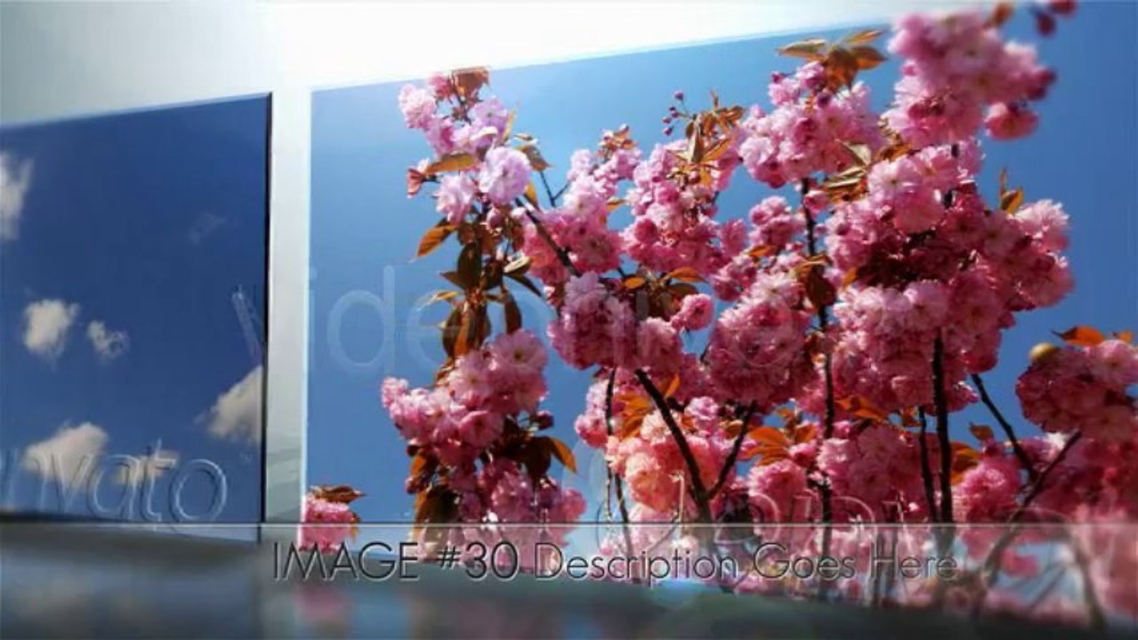 Clean 3d Corporate Gallery - After Effects Template