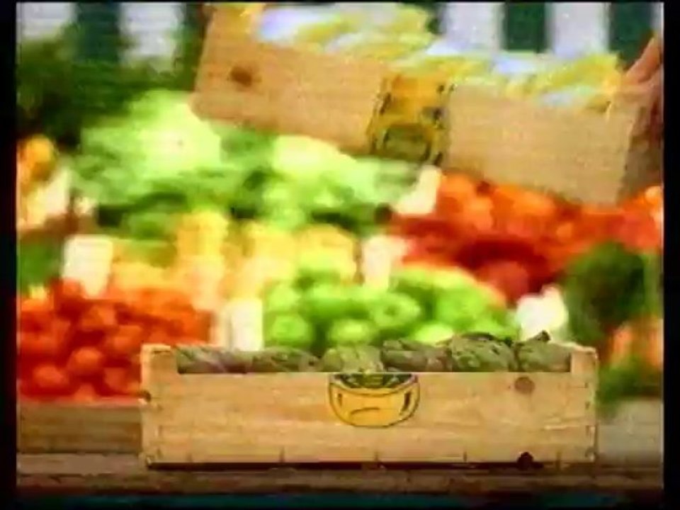 TF1 26 Juin 1996 Ex. Météo,1 B.A.,2 Pubs,LOTO