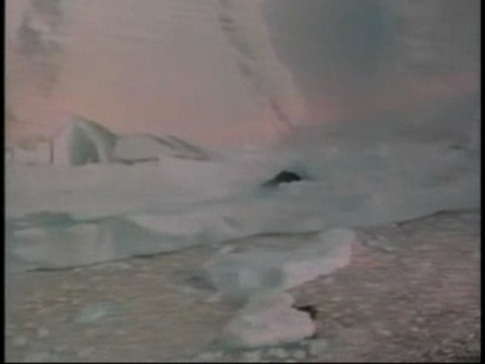 March of the Penguins (preview)