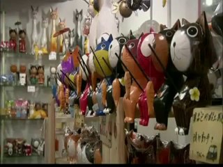 Ponte para gatos Faz Sucesso Em Taiwan