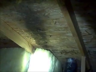 Home Inspector Seattle WA | The Home Detective