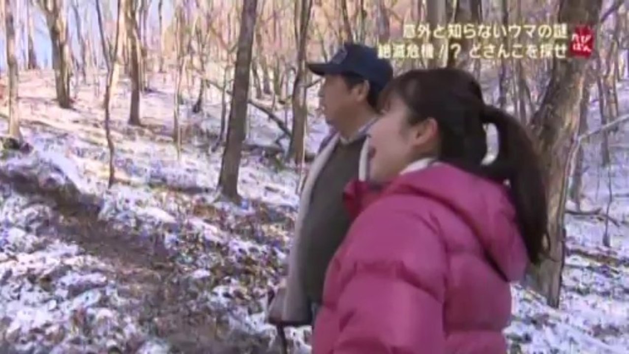 Pocketful of curiosity for Hokkaido 2014-01-05