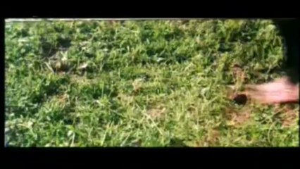 Jhoomar 2007 - Full Pakistani Movie - Tv Scr Rip - P1