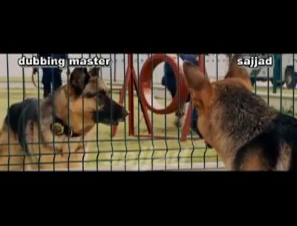 Punjabi Totay Funny Conversion Between Army Dogs