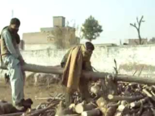 da chota lahor pukhtana zwanan