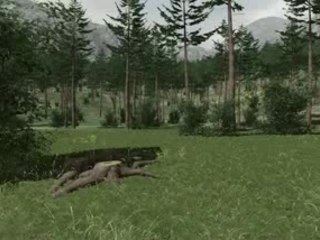 GamePlay Armed Assault