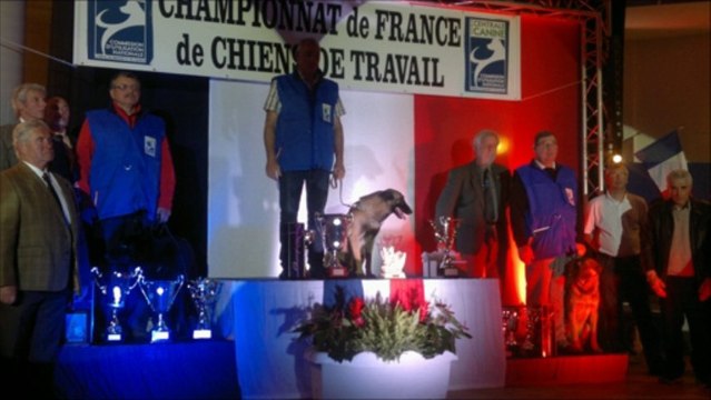 AIX EN PROVENCE - MERCI POUR VOS VOEUX :-)