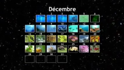 Big bang à nos jours