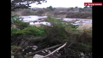 Combrit. Le secrétaire général de la préfecture au chevet de la dune