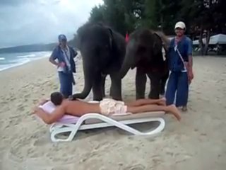 Elephant massage