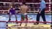 Donnie Nietes vs. Moises Fuentes fight