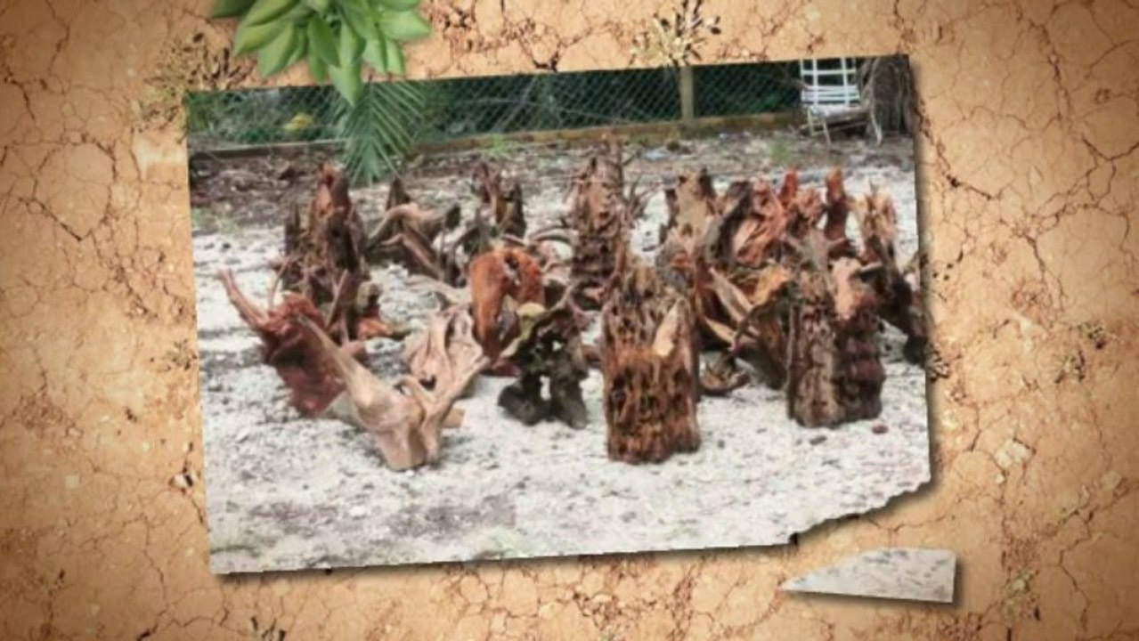 Driftwood Mosaic Tek Large Table Lamp Home Decor - Desk Table Floor Lamp