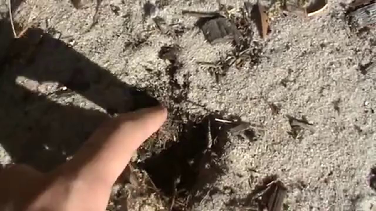 How To Dig a Hole with your Finger