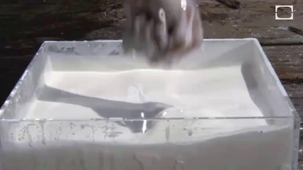 Non-Newtonian Liquid IN SLOW MOTION!