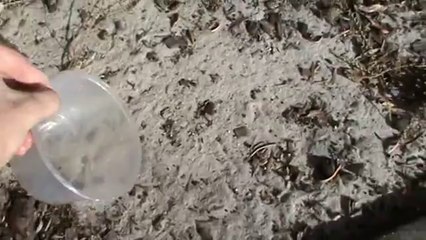 How To Fill up a Plastic Container with Sand