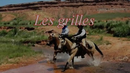 Les grilles de ma maison (karaoke)